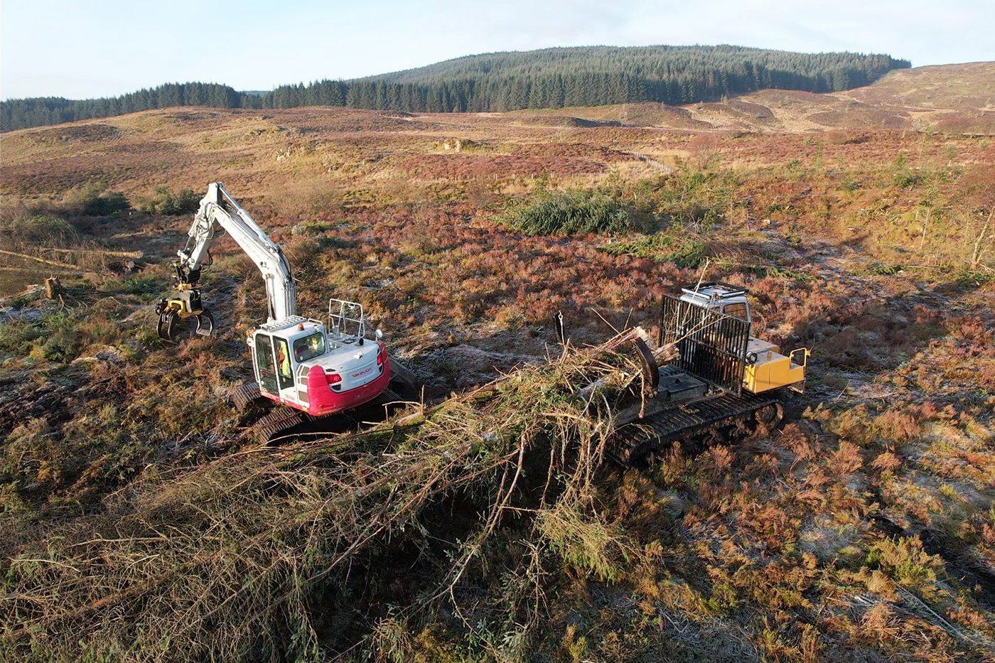 Tracked clam bunk being loaded with whole trees