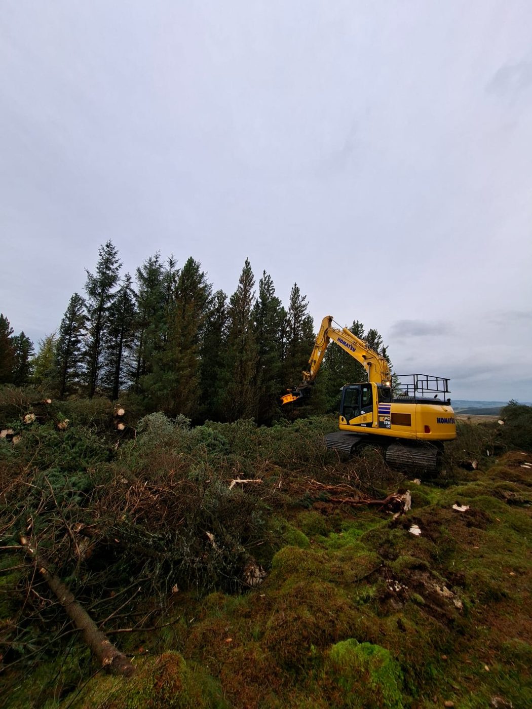 Whole tree harvesting at Harting Rigg