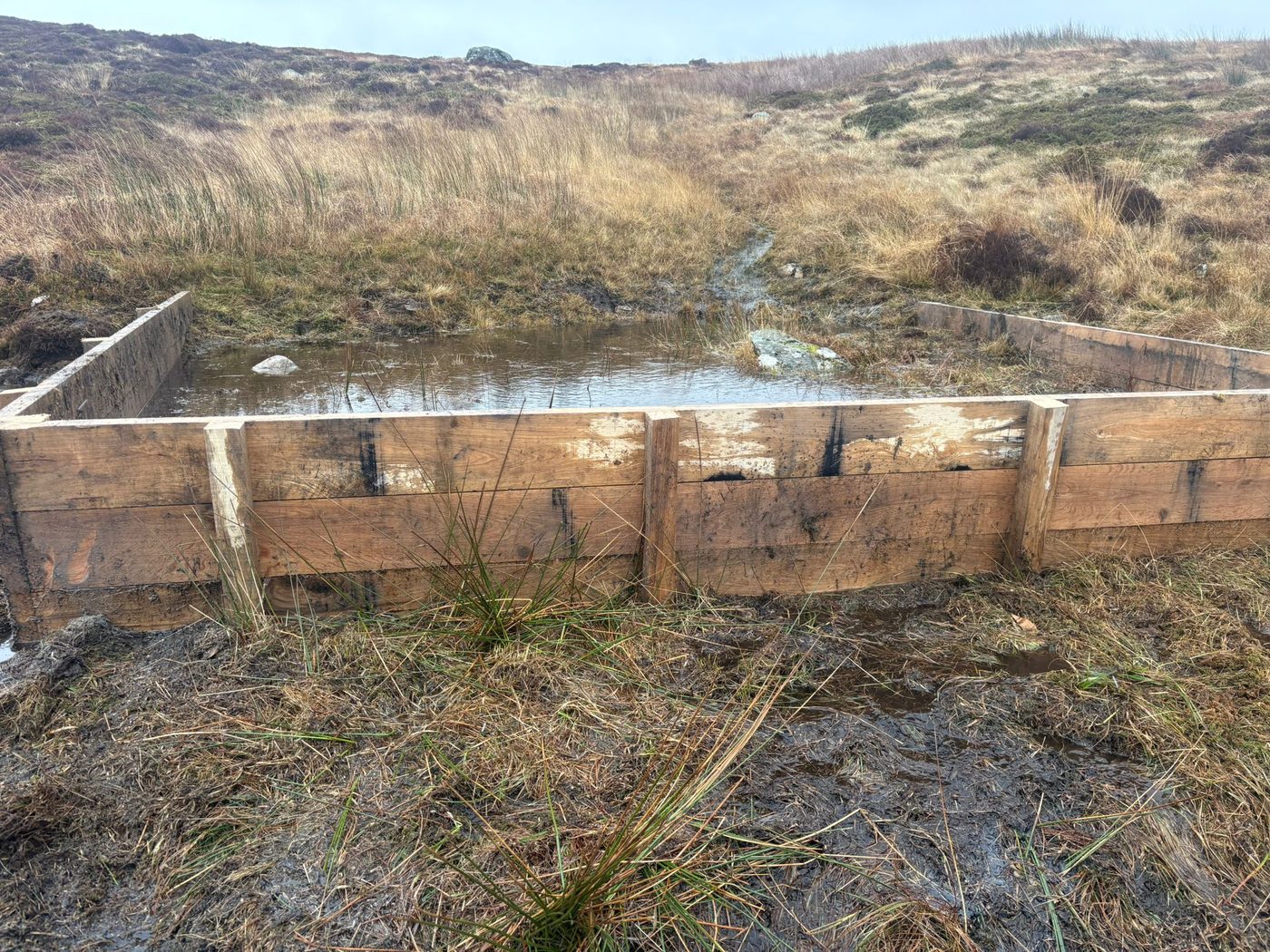 Natural flood management at Cefn Du