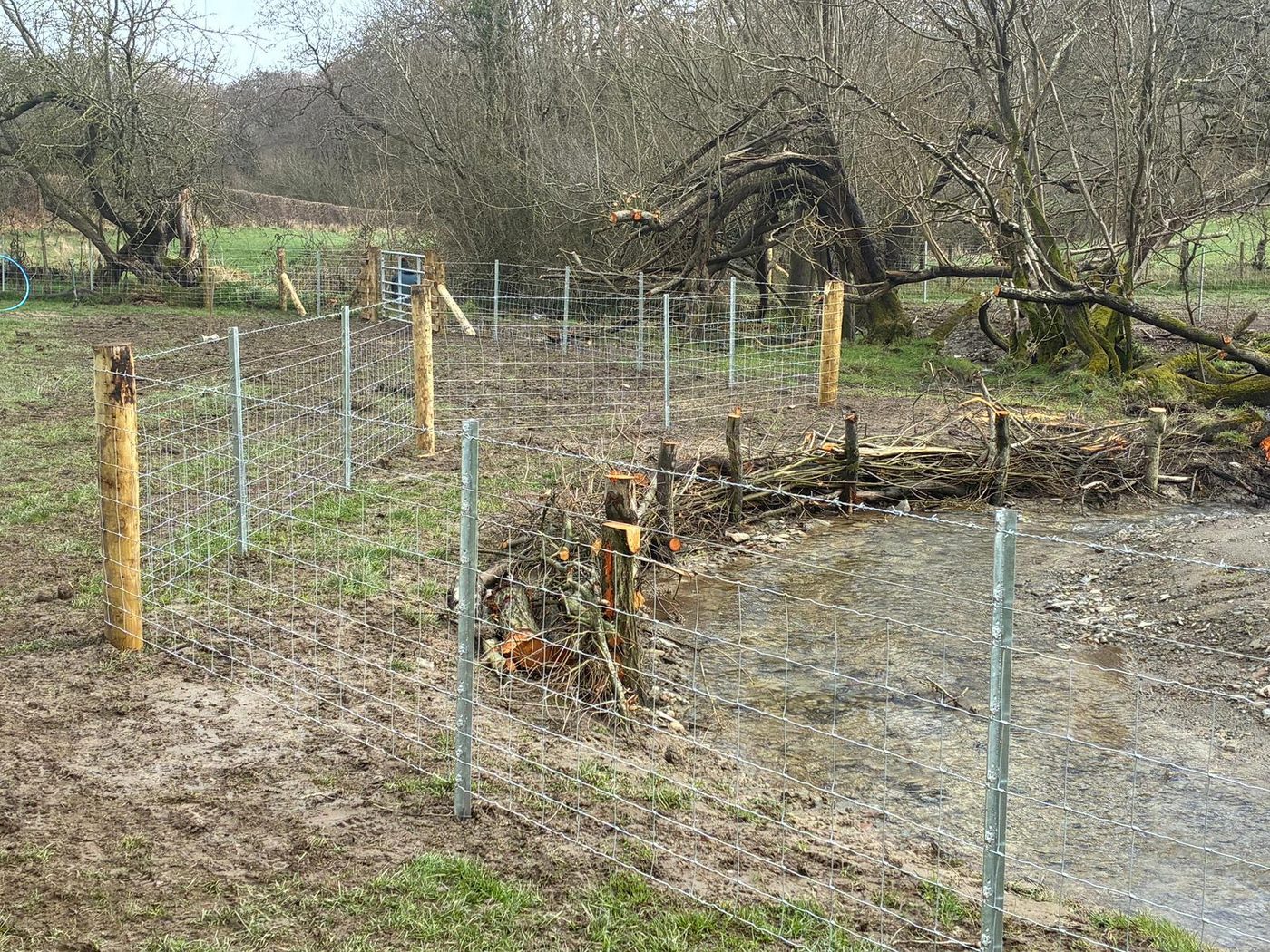 Bank stabilisation and river restoration